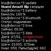 AboutTerminal Amazfit BIP watchface