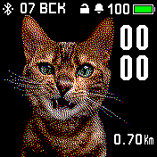 Bengal Amazfit BIP watchface