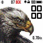 Bird Amazfit BIP watchface