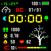 CROSSFIT_LEAF Amazfit BIP watchface