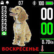 Dog_year Amazfit BIP watchface