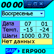 SAP Amazfit BIP watchface