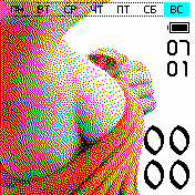 Side_view Amazfit BIP watchface