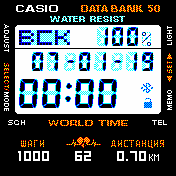 casio_2019 Amazfit BIP watchface