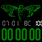 cicada2 Amazfit BIP watchface