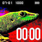 lizard Amazfit BIP watchface